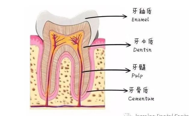 k8凯发，一文看懂：牙齿美白全知道