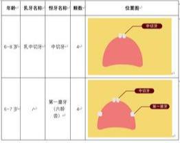 k8凯发，最全儿童换牙的顺序建议收藏